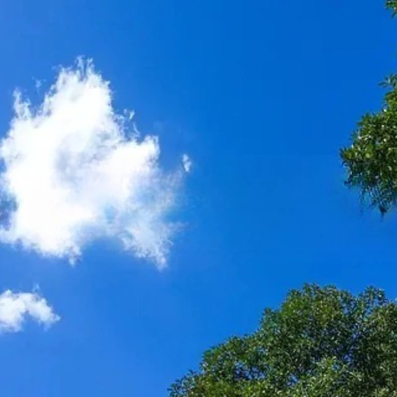 

IFlight iPower GM4108 With AS5048 AEncoder Brushless Gimbal Motor for Applicable camera Stabilization 600-1200grams 5N/7N/GH2