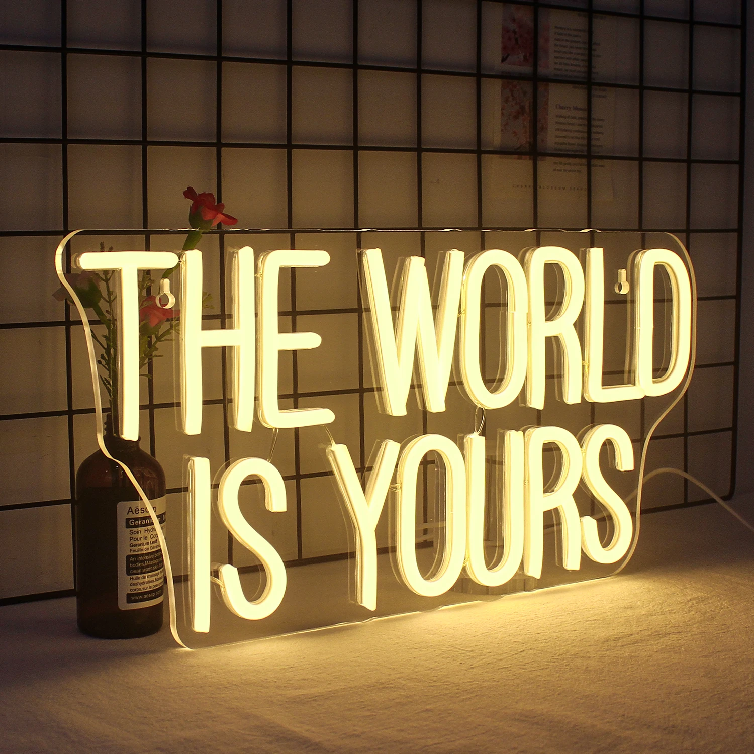 The World Is Yours Neon Sign Personalized Neon LED Lights Bedroom Party Birthday Favors Room Christmas Bar Art Wall Decor Lamps