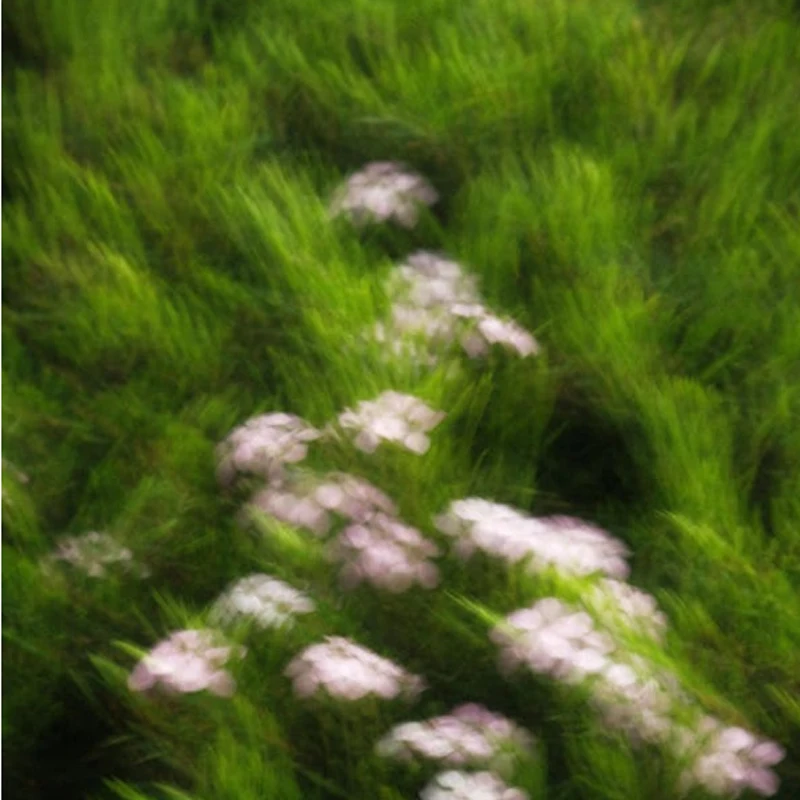 

HGLRC ELRS 2.4G Receiver 500MHZ Refresh Rate ELRS 3.0 with Omni-directional Antenna for RC Airplane FPV Long Range Drones