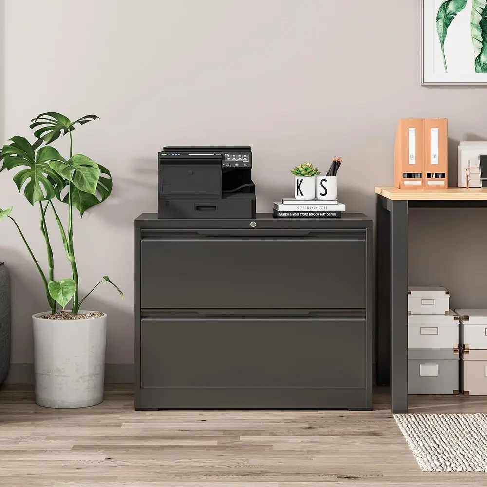 Lateral File Cabinet with Lock, 2 Drawer Steel Wide Filing Organization Storage Cabinet, Steel File Cabinet for A4 Legal/Letter