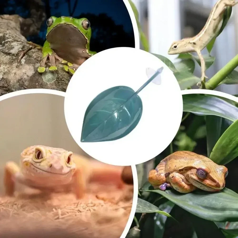 Reptile Simulation Leaf Basking Platform with Suction Cups, Frog Gecko Resting Terrace, Tank Habitat Decor Terrarium Accessory