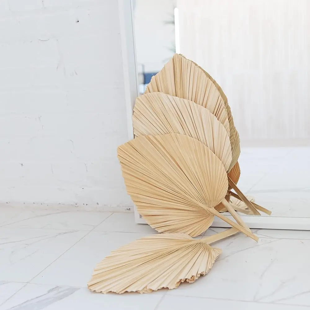 

4Pcs Large 18In X 10In Bleached Dried Palm Leaves