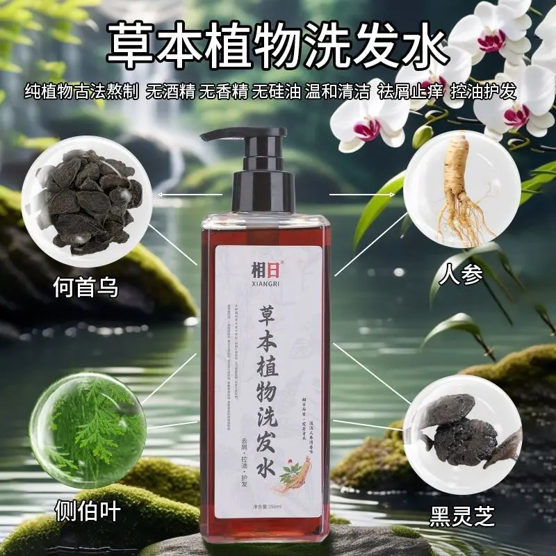 champu-herbal-xiangri-con-hoja-de-platycladus-orientalis-codonopsis-de-sichuan-y-bayas-de-jabon-control-de-grasa-anticaspa