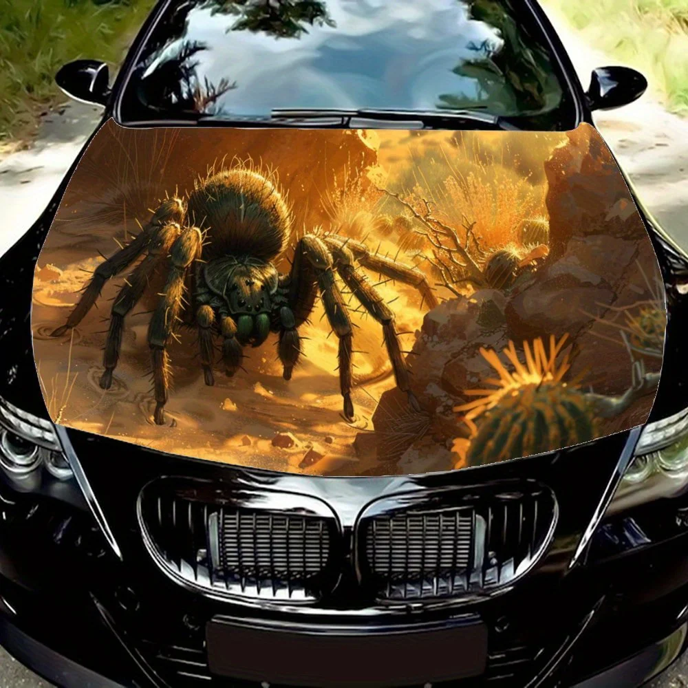 

Spider, Fierce, Flame, Cool;Artistic; Festive; Colorful; Gift;Car Hood Decal Sticker, Motorcycle and Truck Decal, Self-adhesive