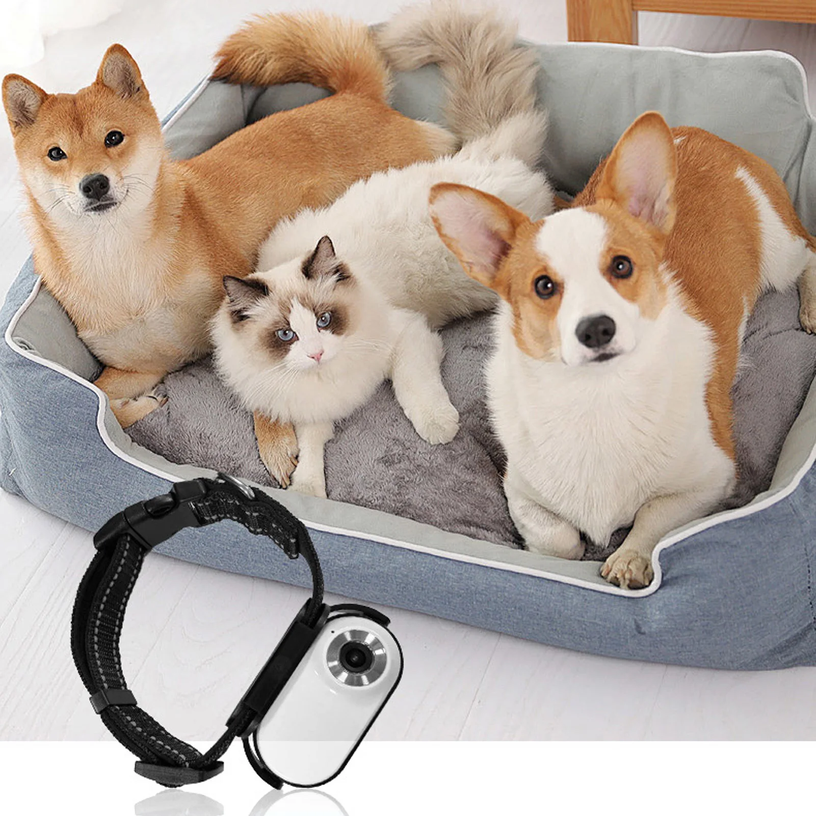 Pet Collar Camera 120 Deg Lens OTG Connection Video Recording Adjustable Magnetic Cat Sport Camera for Outdoor Dog Collar Camera