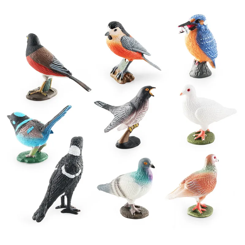 Nuova simulazione Solid Pigeon Wild Forest Zoo Animal Model figurine di uccelli educazione precoce giocattolo cognitivo animali per regalo per