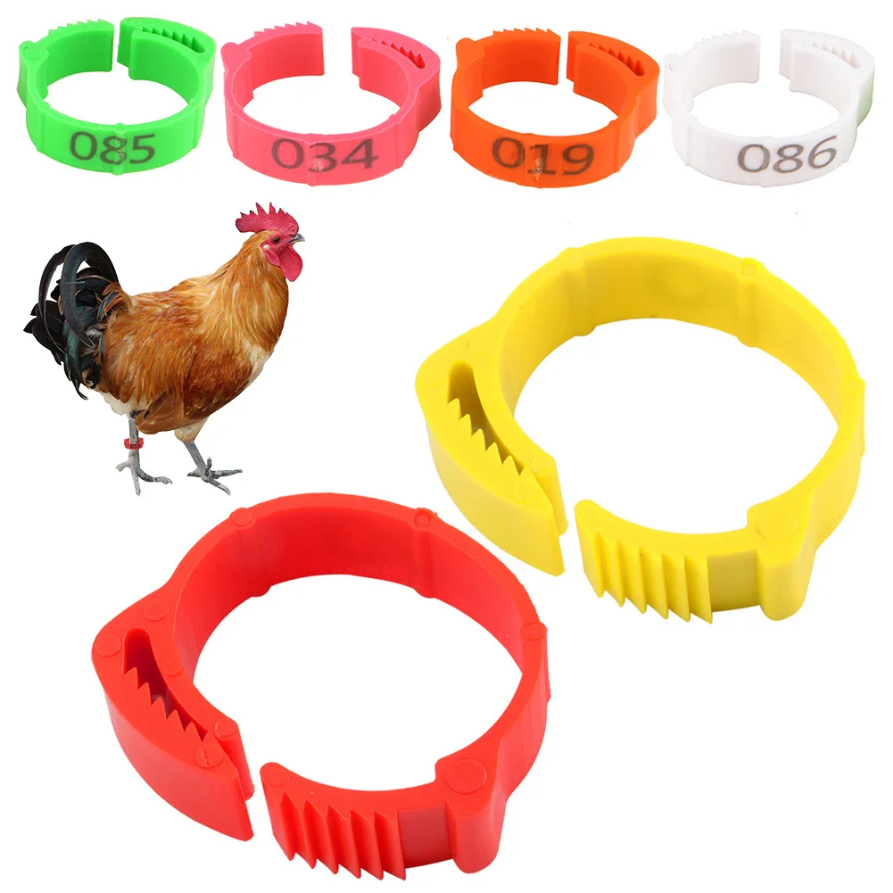 100PCS Chicken Foot Ring Marker Adjustable Size 1-100 Number Poultry Leg Label Buckle Ring for Farm Chick Duck Goose Suplies