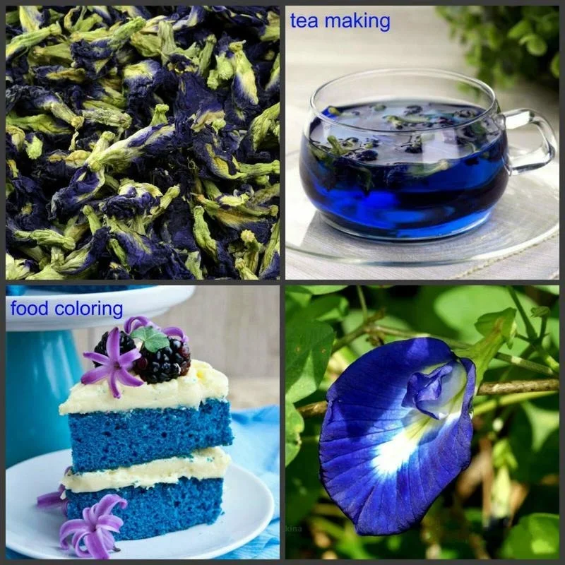 100% Natural Thai Blue butterfly Pea Flower Tea Used for Baking Coloring Bathing Skin Care DIY Dessert Cake Help Detoxification