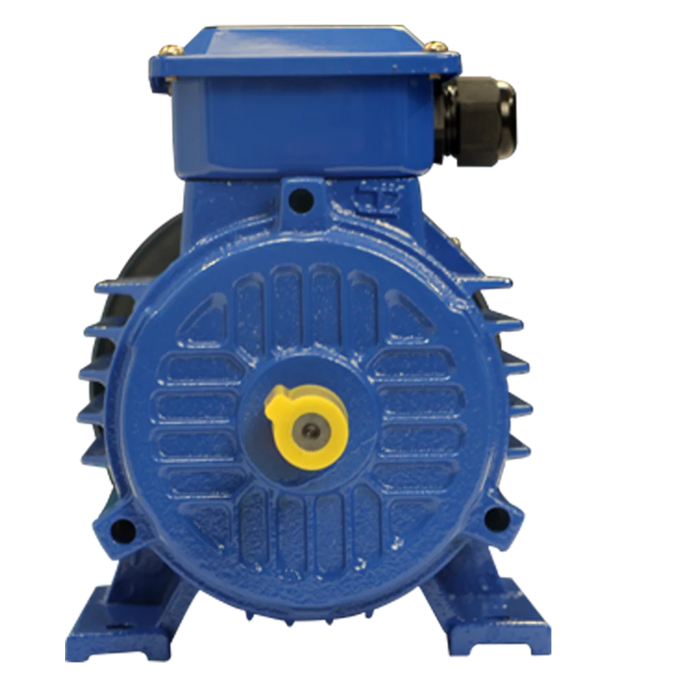 High quality 2HP Centrifugal Pump Motor Three Phase Cast Iron Electric Motor