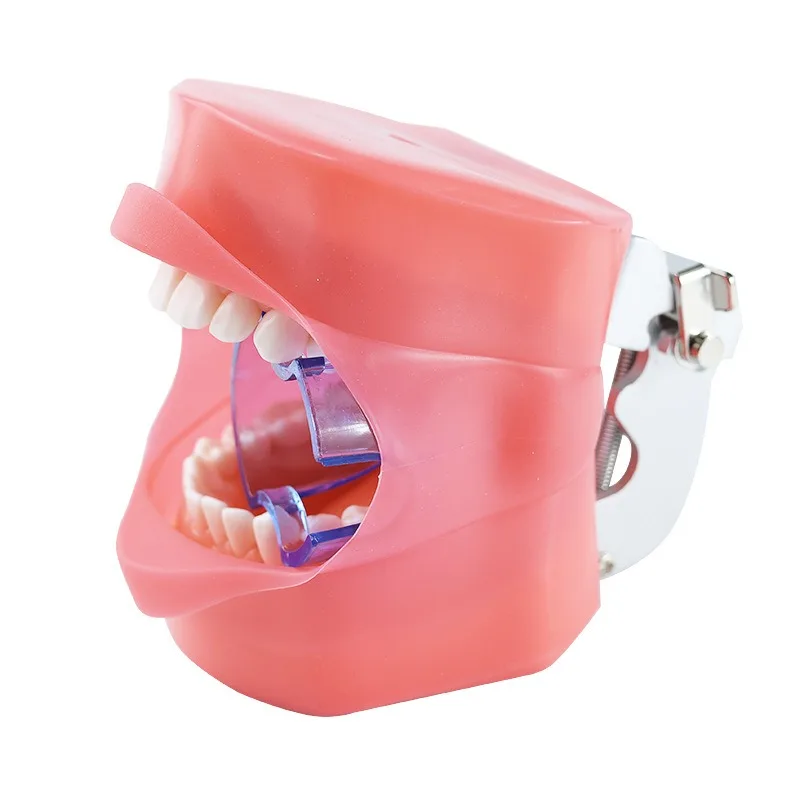 28 Preparation of teeth Facial skin opener Dental materials Oral materials Dental tools Oral support Flare