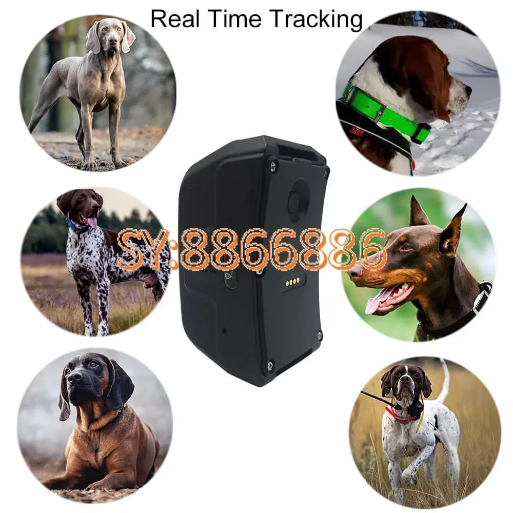 4G Anti Lost GPS Dog Tracker with Free Tracking System Hunting Dog GPS Collar