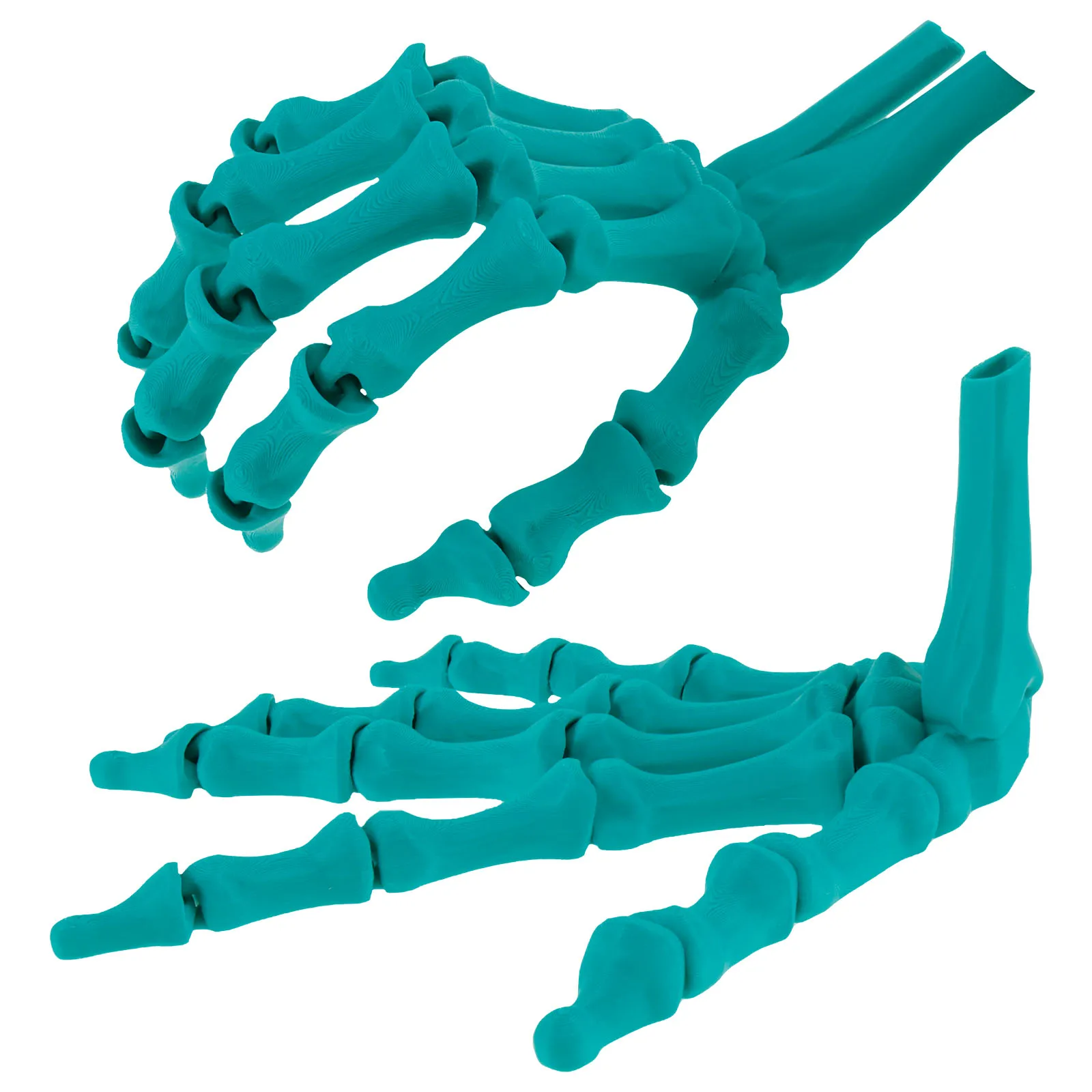 Skeleton Hand Realistic Skeleton Hand Model with Articulated Flexible Joints Novelty Plastic Skeleton Hands Decorative 3D