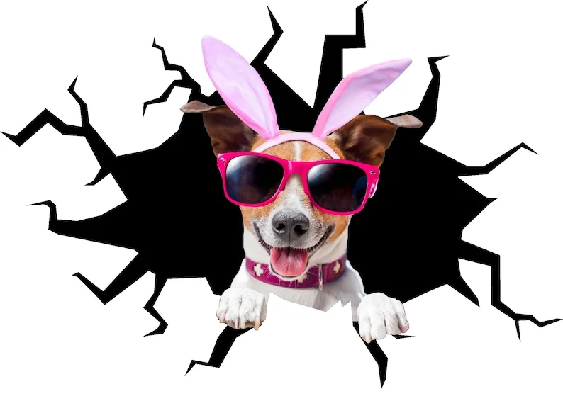 Dog With Glasses And Bunny Ears Wall Decal Art Decor 3D Smashed Sticker Poster Room Mural A-359