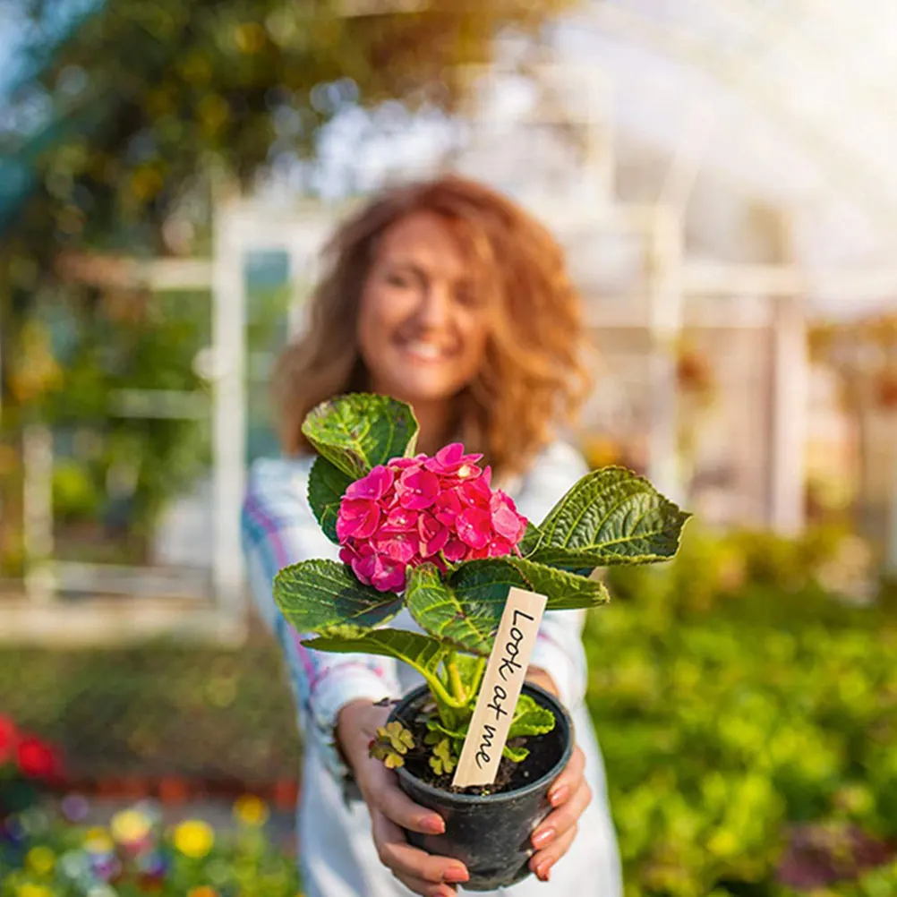 

1Set Wooden Garden Plant Label Tags with DIY Space for Plant Name Identification for Garden Greenhouse Lawn Tags