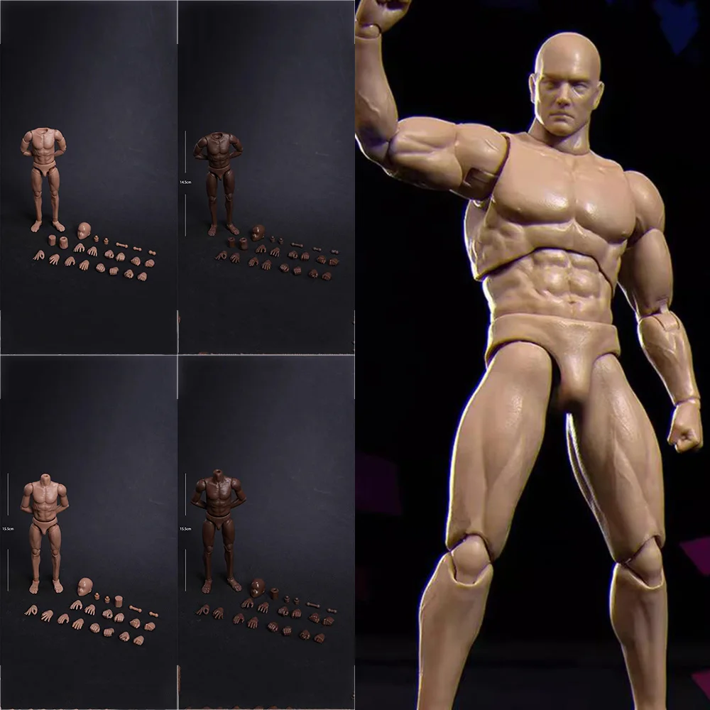 MINI COOL MC001/MC006 VTOYS BMS 1/12 Scale Strong Muscular Male Joint Flexible Body 6inch Action Figure Doll For Fans Gifts