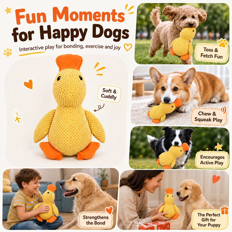 Thumbnail 2 - #22 Latest Puppy Fetch Toys Offers