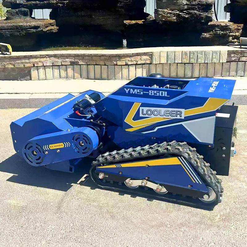 Customized Robot Fl… - image