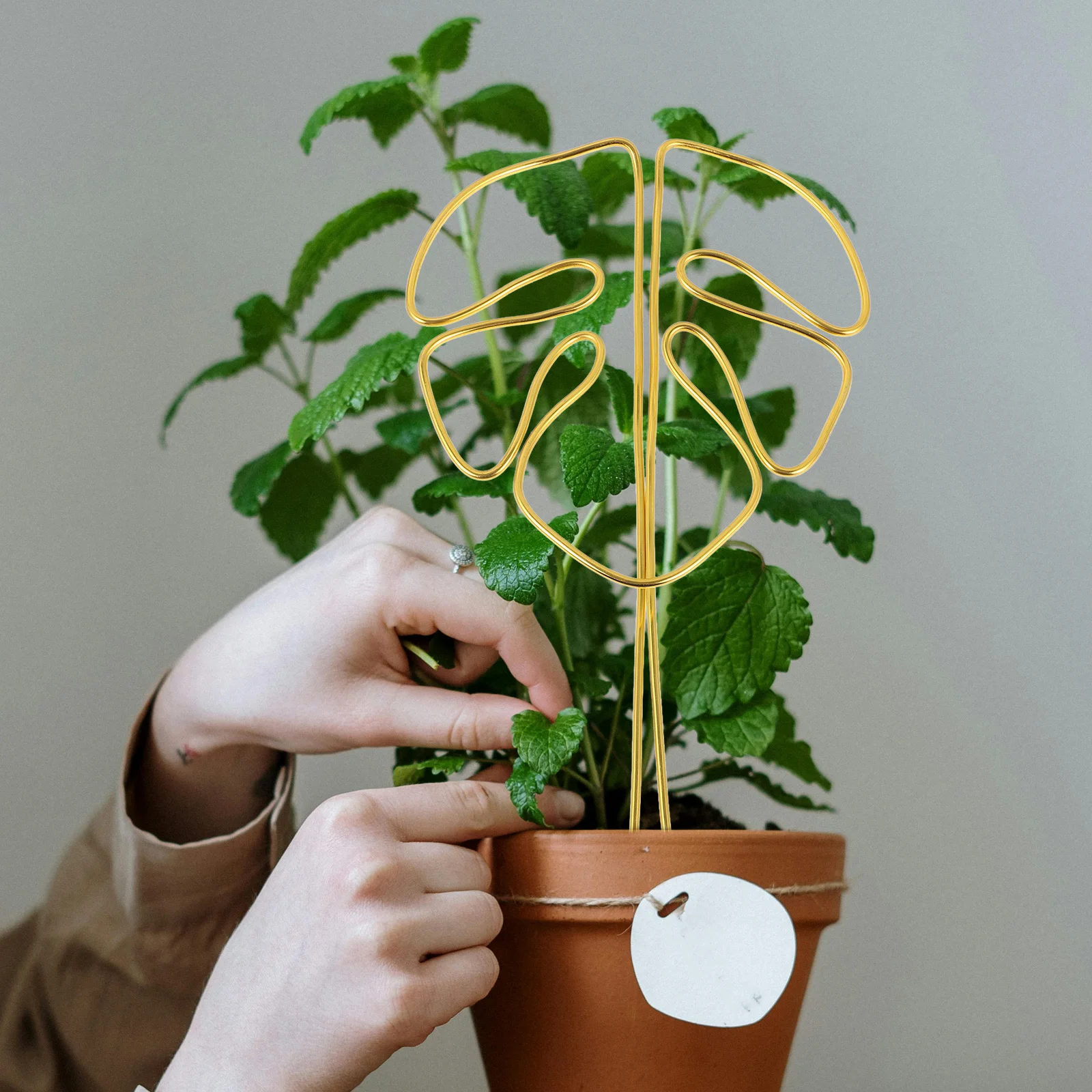 

1pcs Plant Support Indoor Trellis for Potted Plants Golden Alloy Climbing Scaffolding Supplies Garden Decor