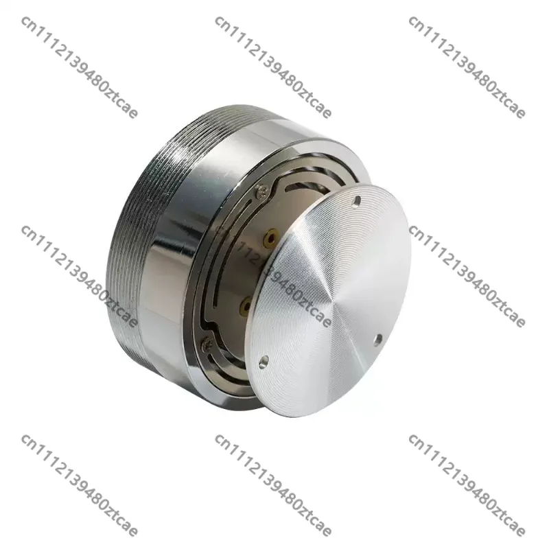 Vibration Exciter Resonance Speaker for Chladni Plate Standing Wave, Bone Conduction Vibrator Acoustic Resonance Experimental