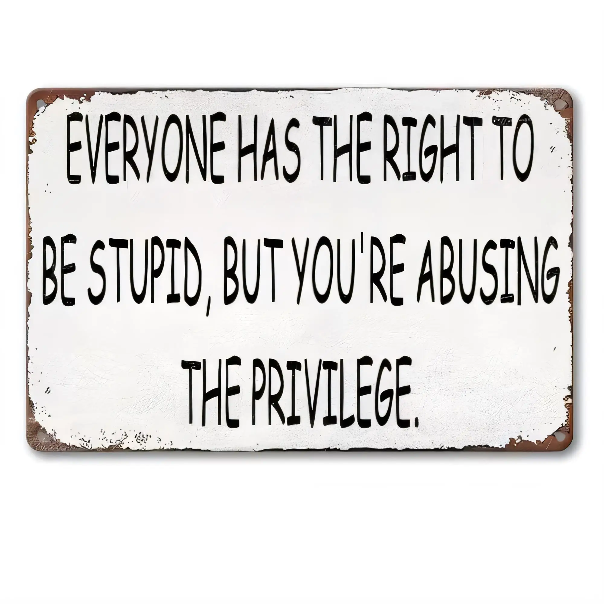Tin Sign “Everyone Has the Right to Be Stupid, But You’re Abusing the Privilege” Funny Quote Metal Wall Decor, Vintage Rustic Po