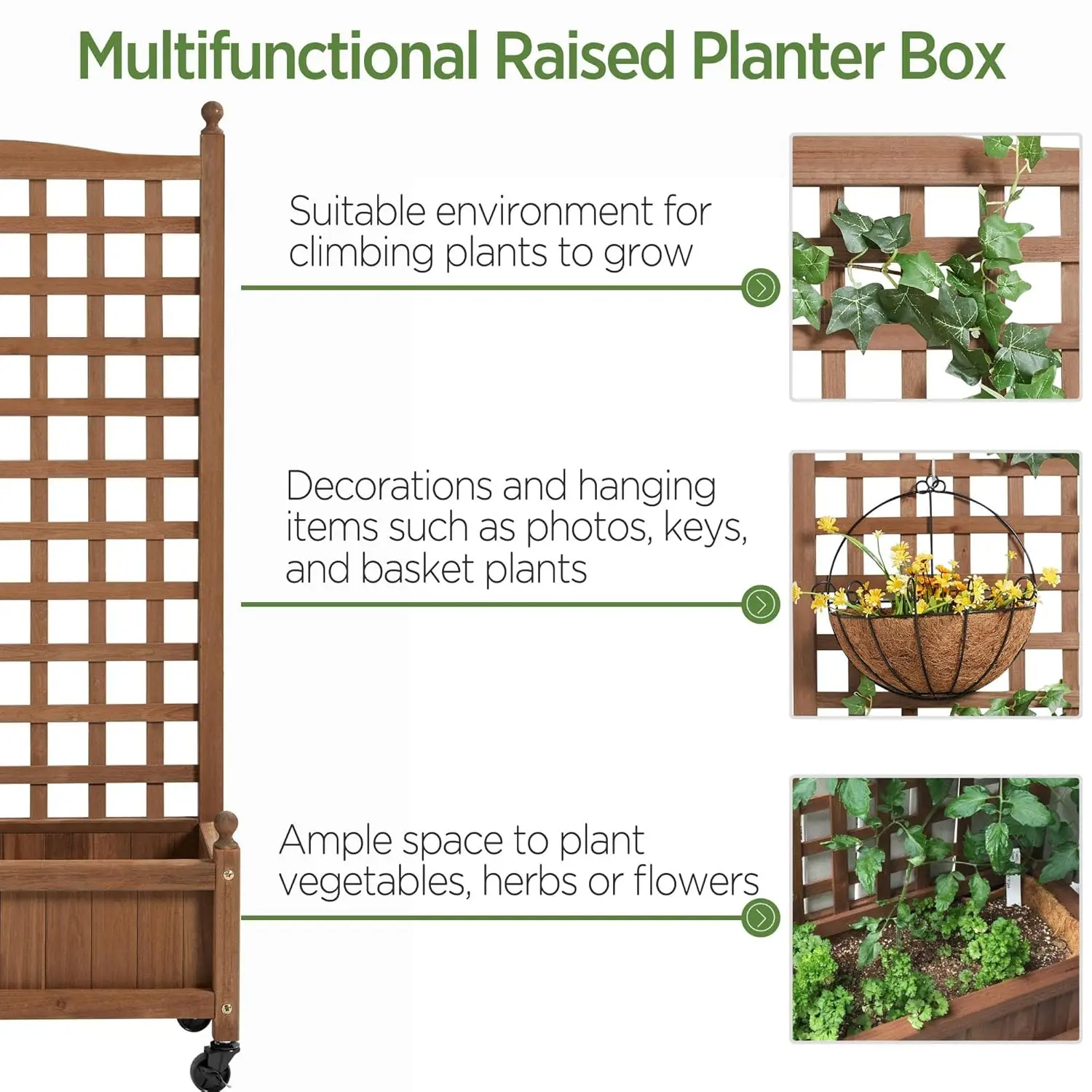 Raised garden bed with vine plants growing on trellis