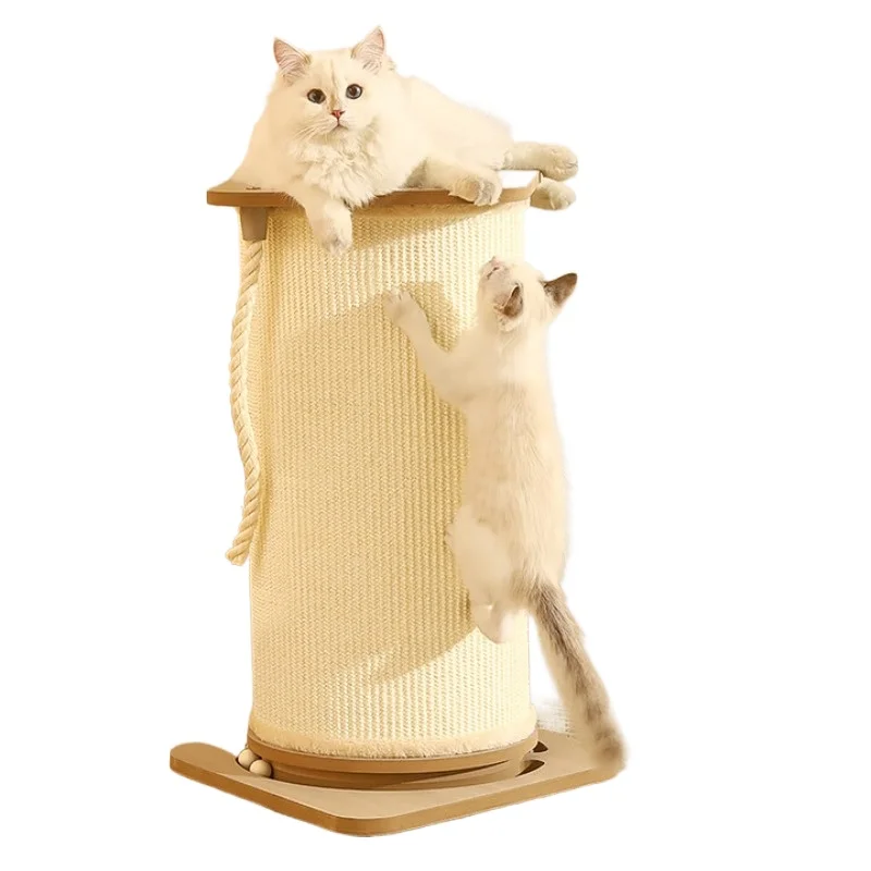 

cat toy