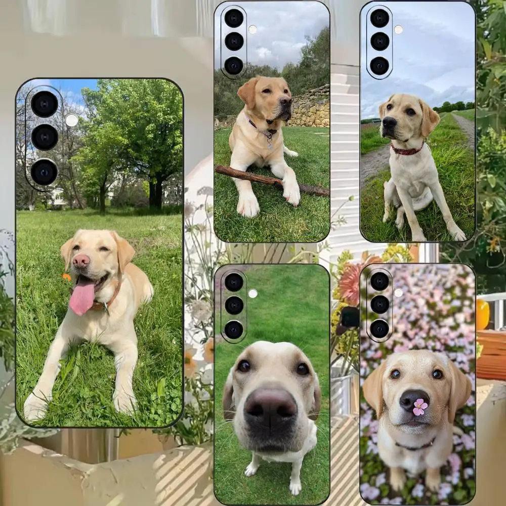 Dog-Labrador Pet Phone Case Black Silicone Soft For Samsung A73,A72,A71,A70,A53,A52,A51