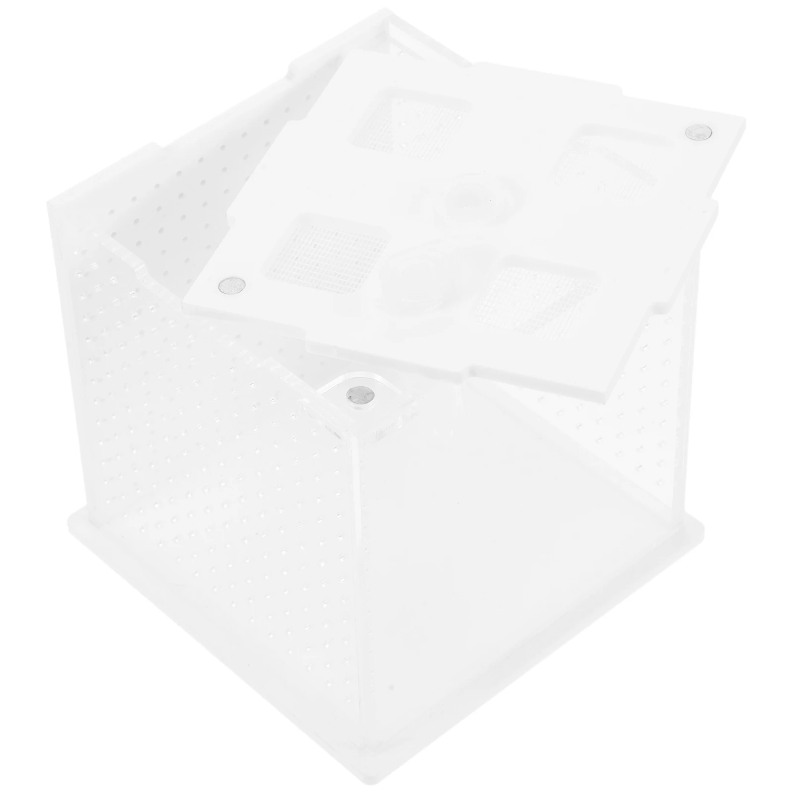 

Feeding Box For Pet Spiders Reptile Breeding Transparent Habitat Clear Acrylic Container Jumping Spider Enclosure Snail