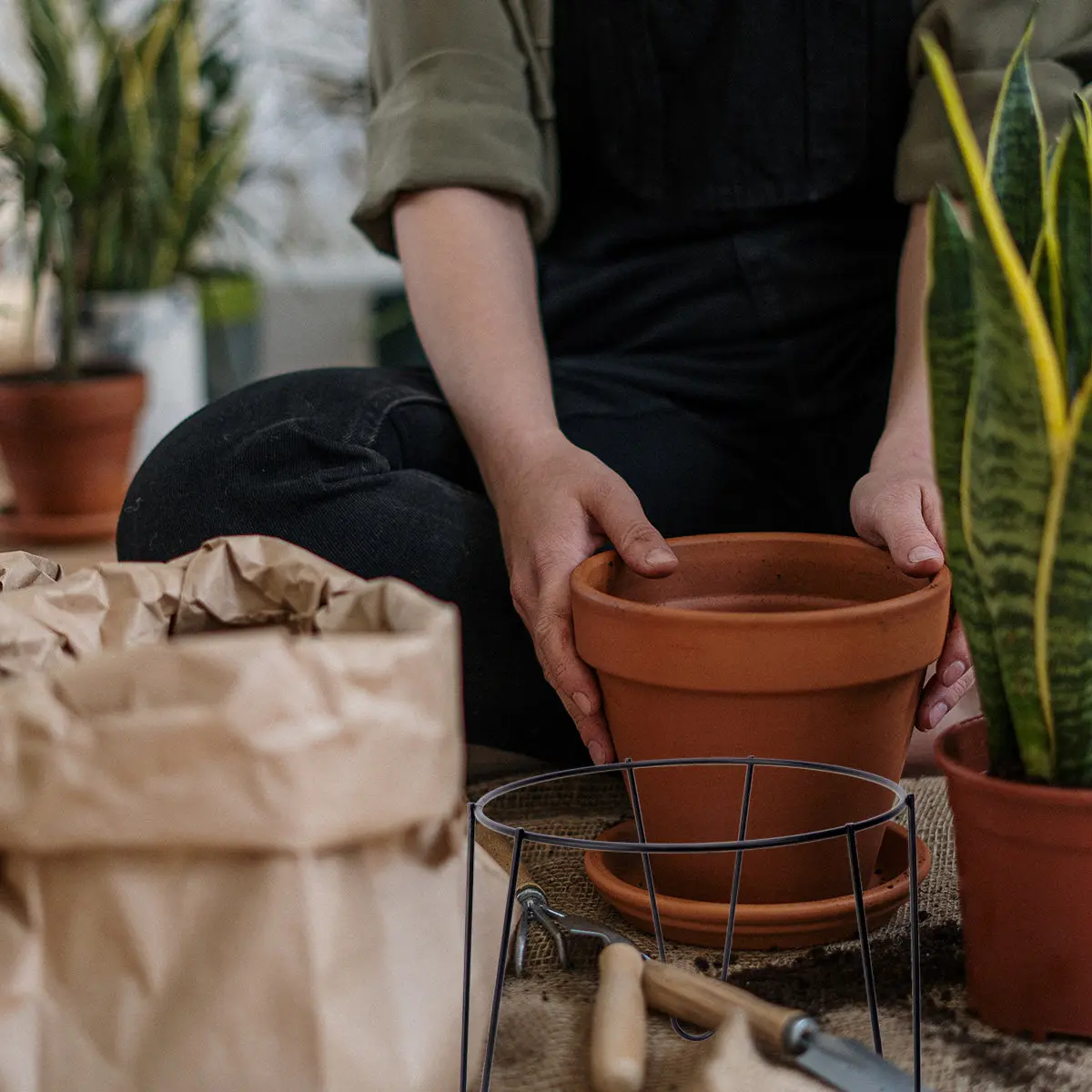 suporte-de-ferro-para-plantas-1-peca--estrutura-economica-e-robusta-para-plantas-floriferas-frutiferas-e-circulacao-de-ar-vaso-de-chao-para-interiores
