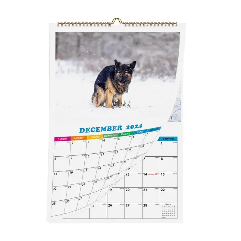 

Wall Calendar 2024 Monthly 2024 Wall Calendar Dog Pooping Hangable Decorative Funny Calendar For Home Hotel Hostel Dining Room