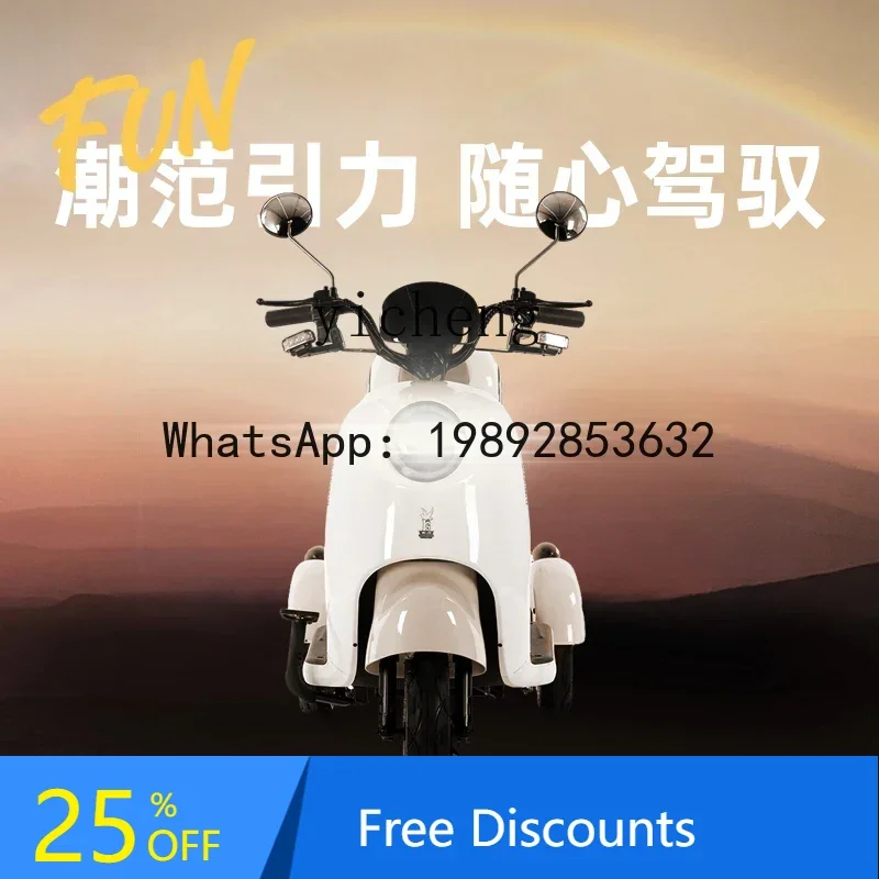 AB  Flying Pigeon Electric Tricycle Household Transportation Small Three-wheeled Women's Leisure Electric Vehicle