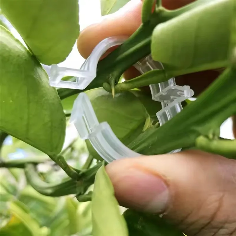 Reusable Plant Support Clips Vegetable Plants Fixing Clip For Support Tomato Grape Vine Climbing Grow Upright Garden Supplies