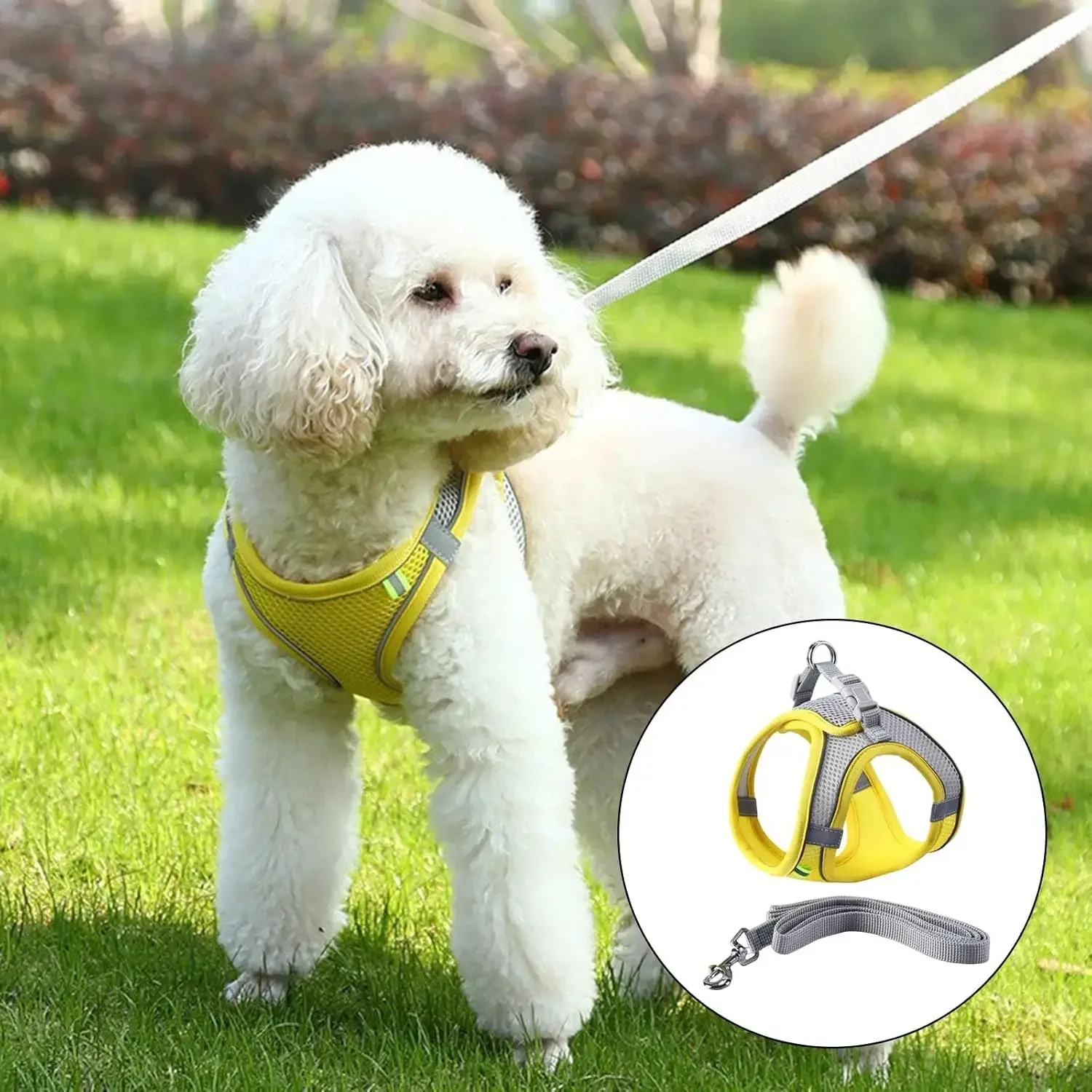 Adjustable Pet Harness and Leash Set for Small Dogs Cats Breathable Soft Mesh Vest Harness Puppy Pug Bulldog Walking Accessories