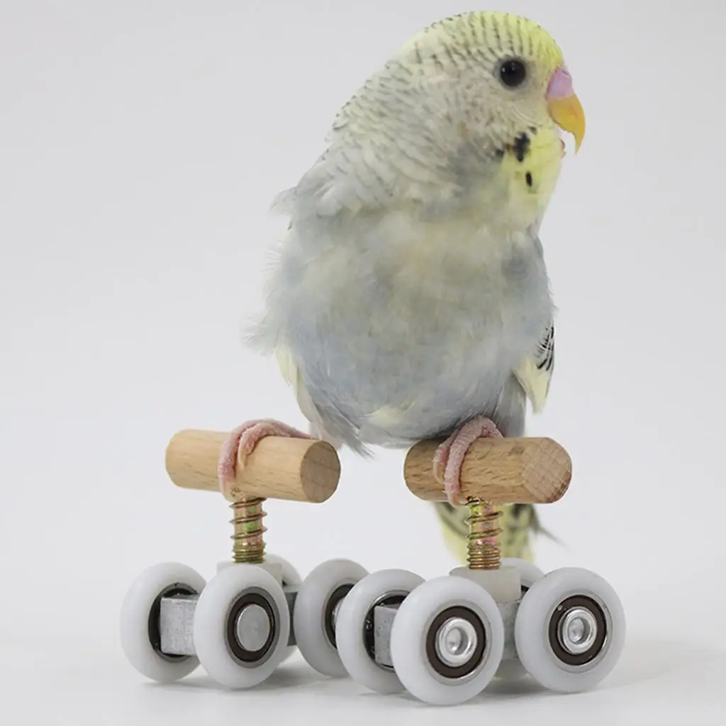 Parrot Mini Roller Skates Toys Small Bird Lovebird Education Toy Adjustable