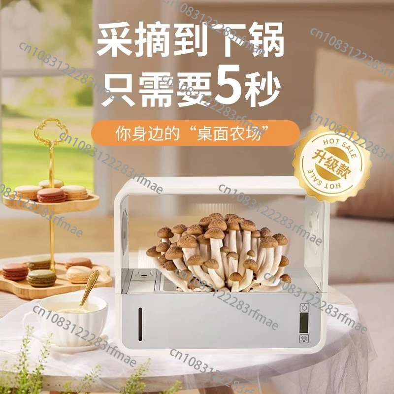 

Ecological Box Mushroom Planting Box Intelligent Indoor Shiitake Planting Equipment