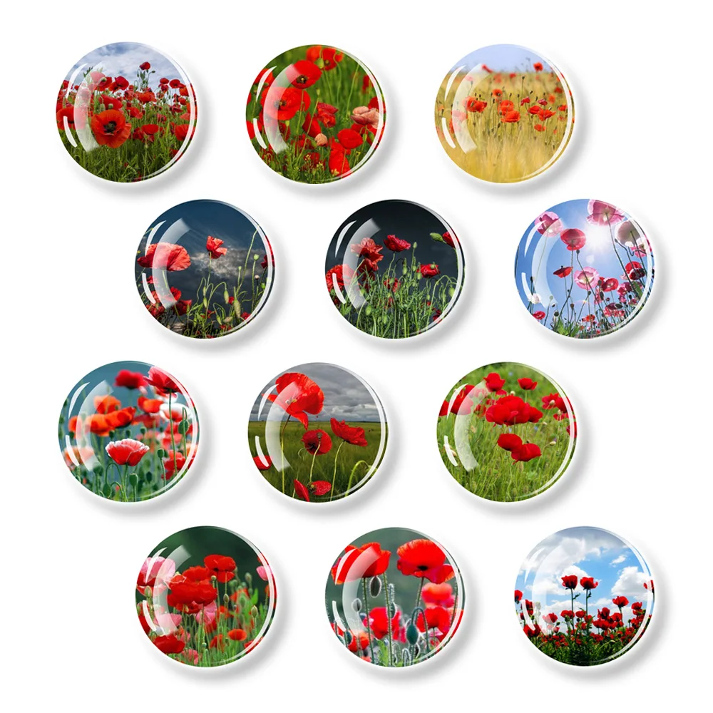 Poppy Flower Refrigerator Sticker Circular Household Decoration Suction Magnet Office Whiteboard Note Solid 30mm 12Pcs