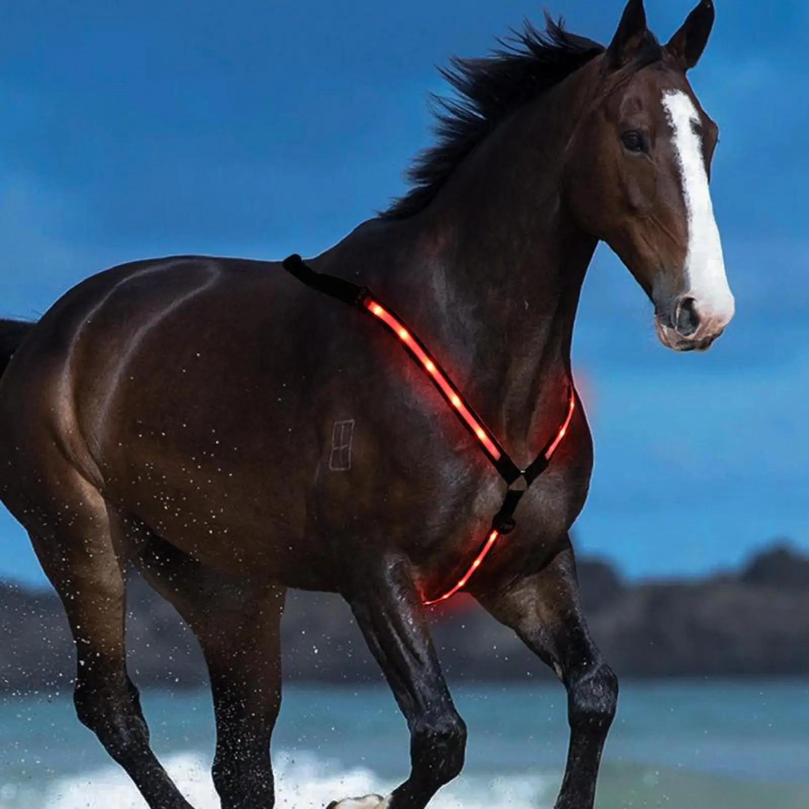 Collier de plastron LED SFP pour l'équitation, attache haute visibilité pour l'équitation