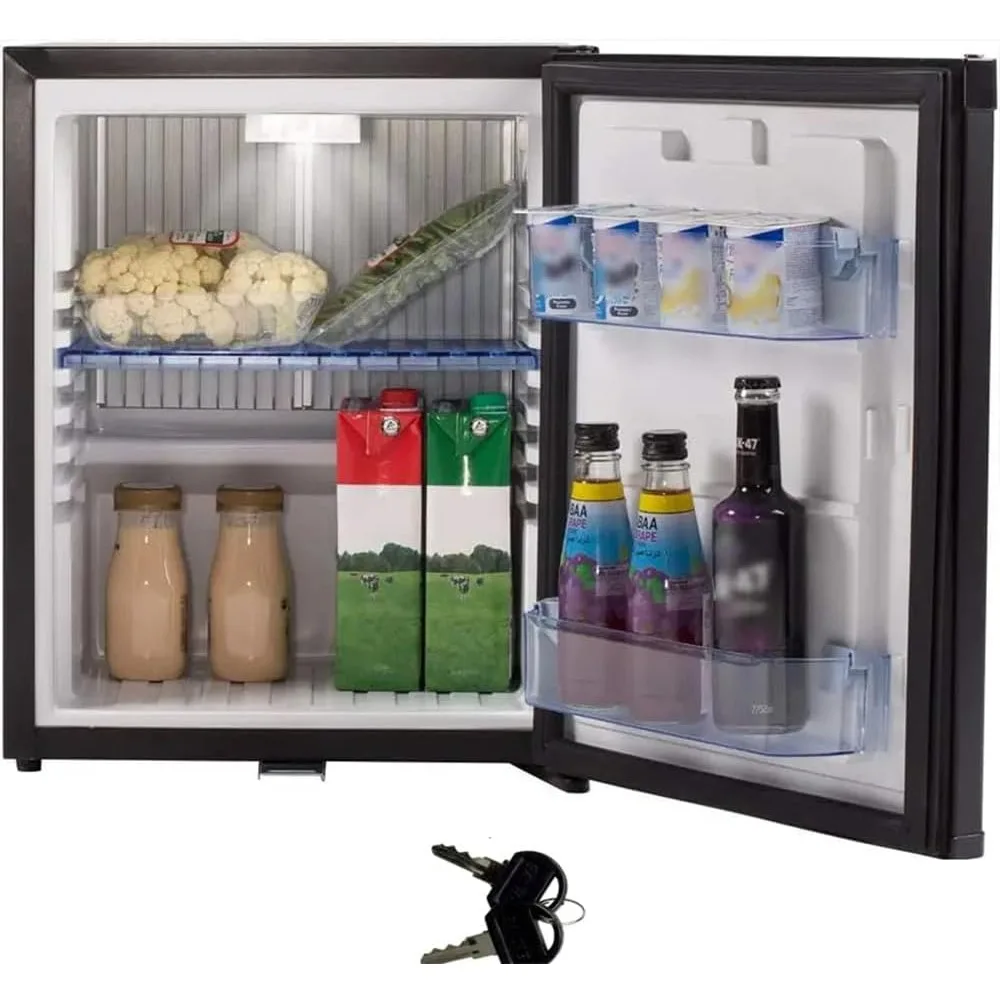 

Locking Mini Fridge w/Quiet No Noise Absorption, Compact Portable 12V/110V DC Refrigerator