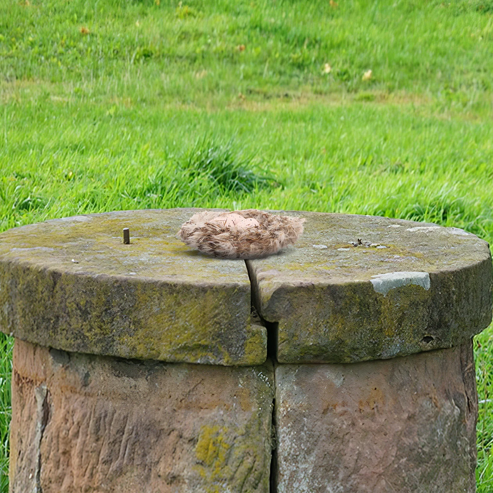 

1 set 1 Set Micro Landscape Bird Nest Decor Simulation Eggs Diy Craft For Garden Home Office Easter Party Favor Photography Prop