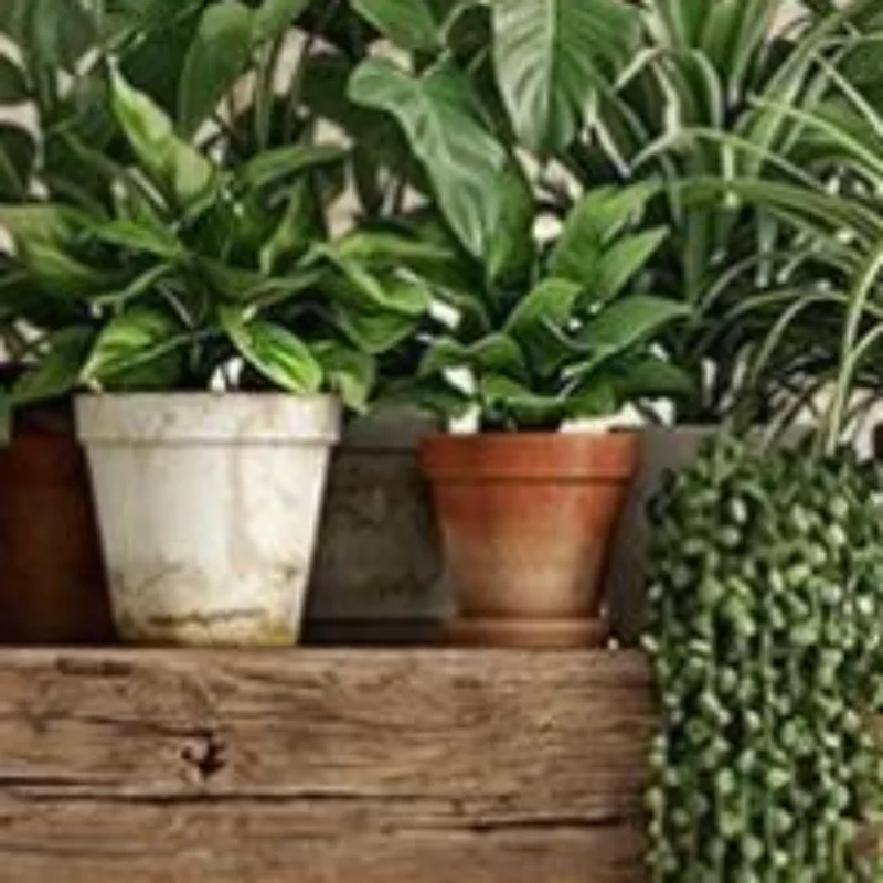 Green Plant Leaves Hanging Basket Wall Stickers Courtyard Bedroom Living Room Wall Beautification Decals Decor