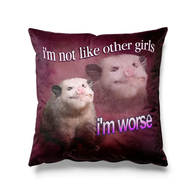 Aertemisi 18'' x 18'' I'm Not Like Other Girls I'm Worse Opossum Throw Pillow Cushion Covers Cases Pillowcases 45cm x 45cm