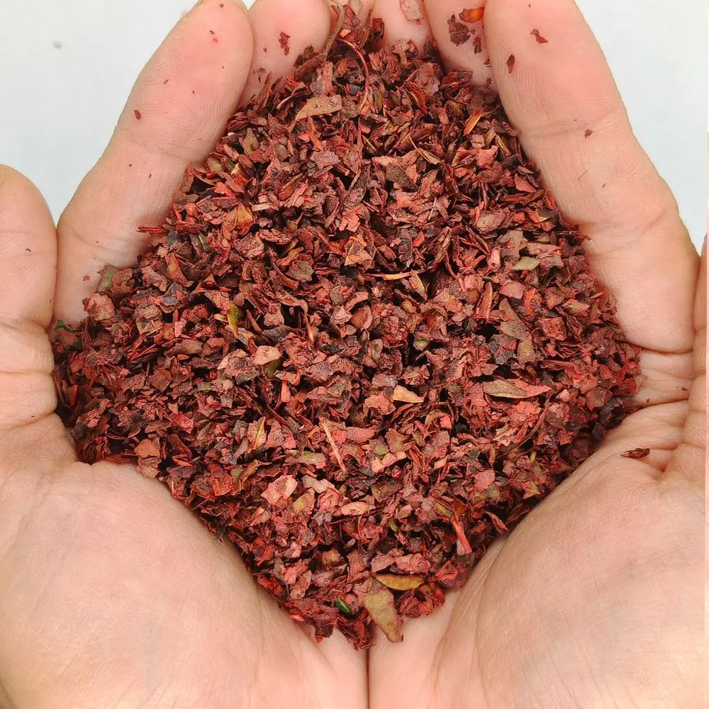 Modèle de feuilles tombantes miniatures, bricolage, feuilles d'arbre réalistes pour miniature de base/marteau de guerre/marque/paysage de jardin 20 g/sac