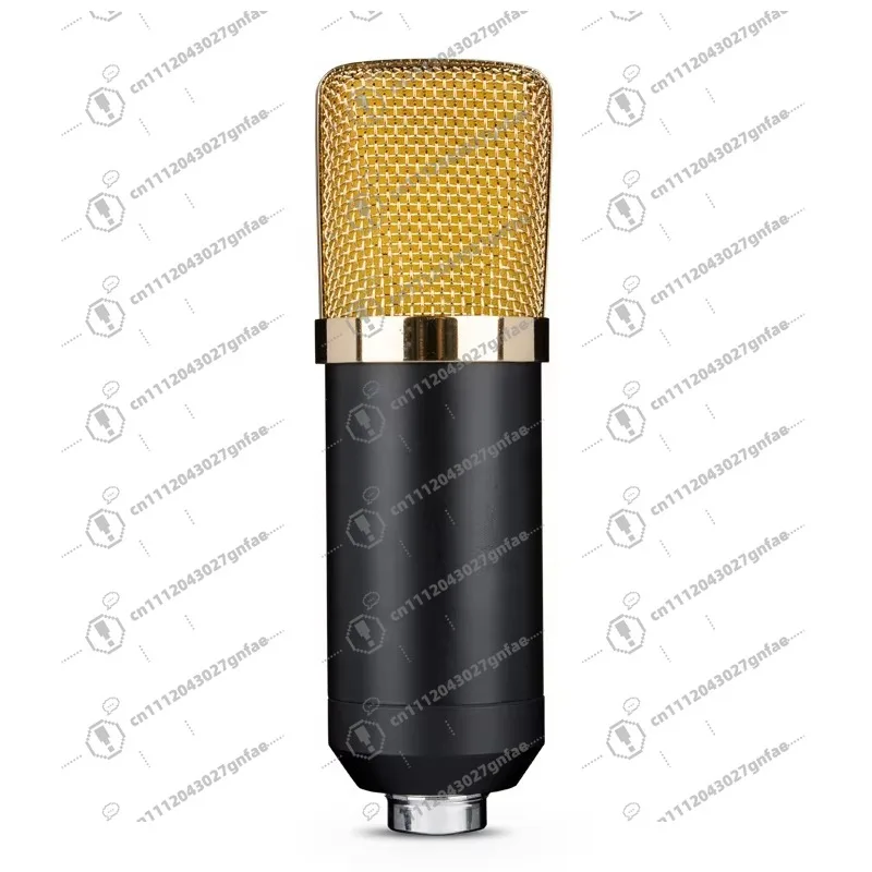 Professional BM700 Handheld Condenser Microphone for Broadcast Recording Heart Polar Pattern Metal Plastic Material Wired