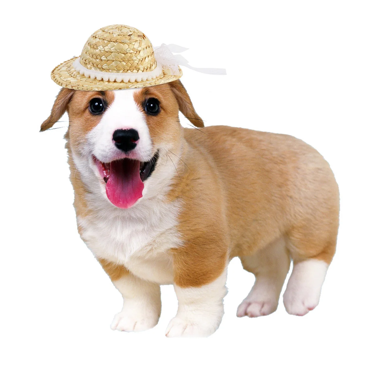 

Straw Woven Pet Hat Cute Cat Sunblock Headdress Comfortable Fit Fashionable Style Ideal for Photos Daily Use Pet Decorative