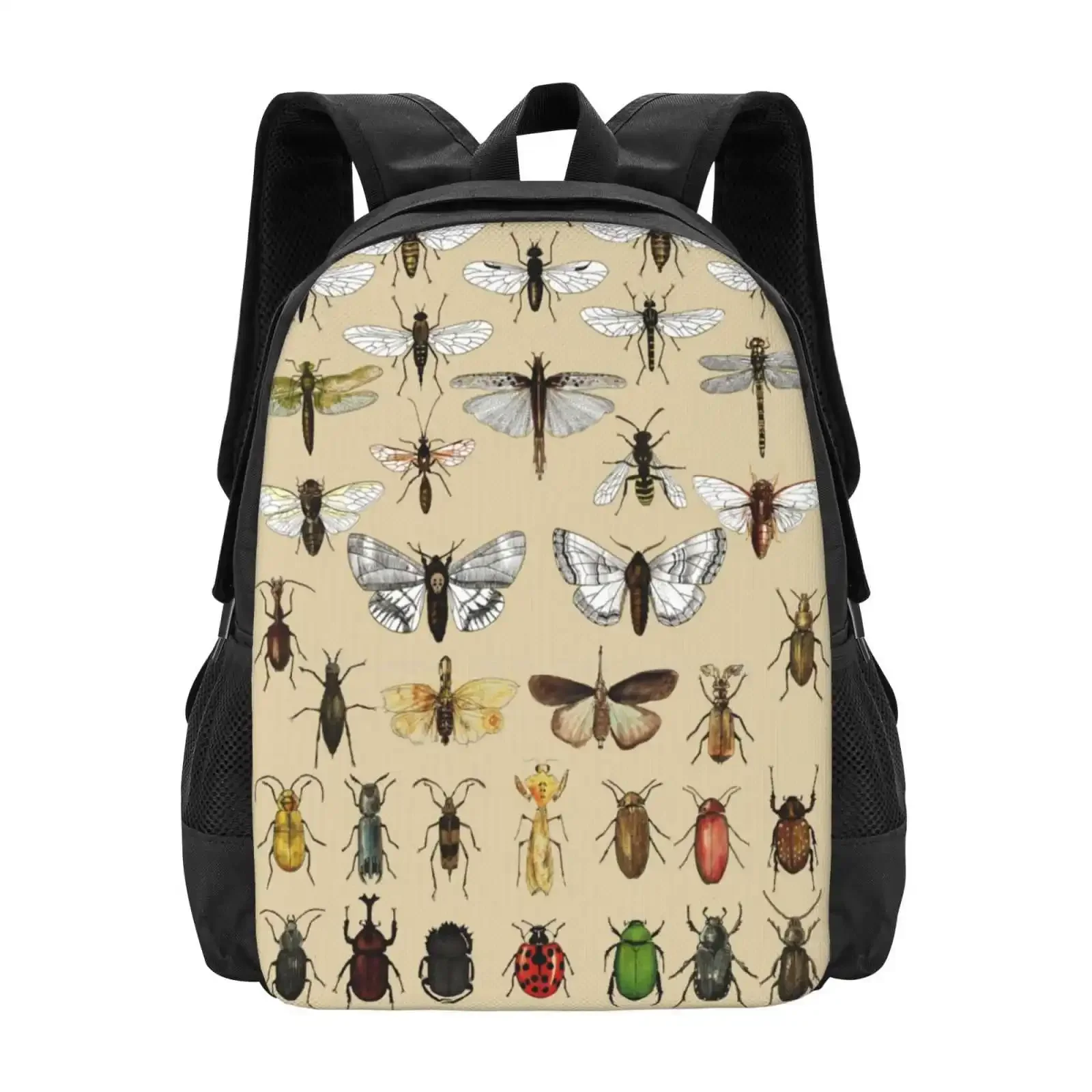 

Entomology Insect Studies Collection Large Capacity School Backpack Laptop Bags Entomology Insects Bugs Beetle Flies Dragonfly