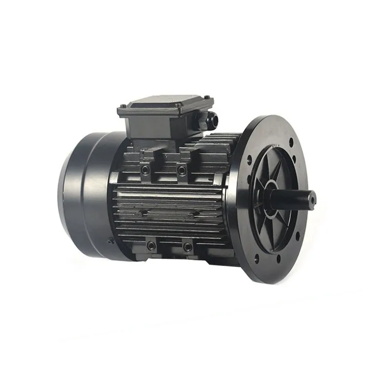 24V 0.75KW 1500 rpm, small brushless motor, sightseeing boat, motor for painting boat