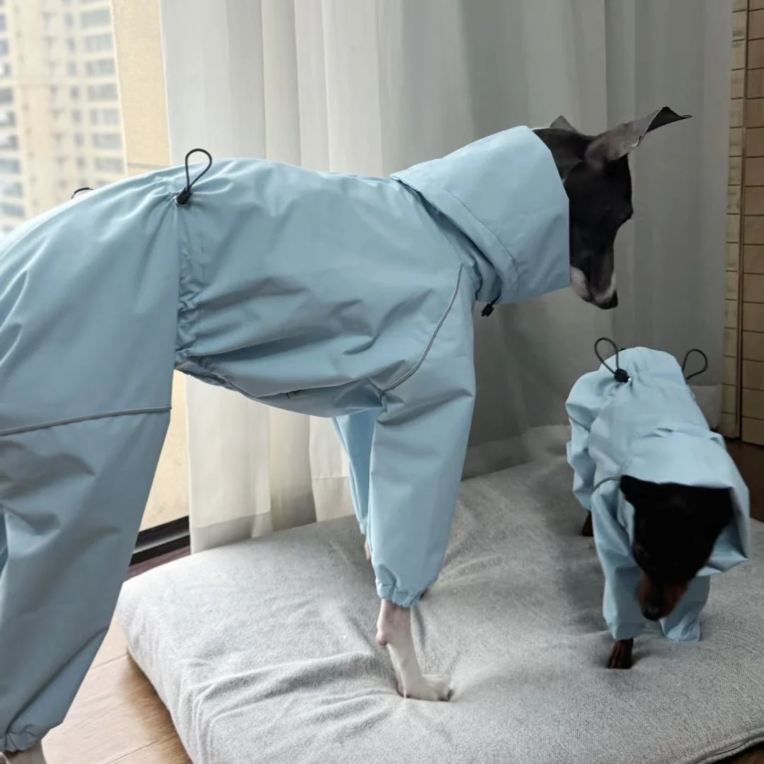 Frühling Sommer Blauer Regenmantel für Italienische Windhunde Winddichte Wasserdichte Jacke mit Rotem Reißverschluss für Whippets Reflektierender Streifenmantel – Detail 22