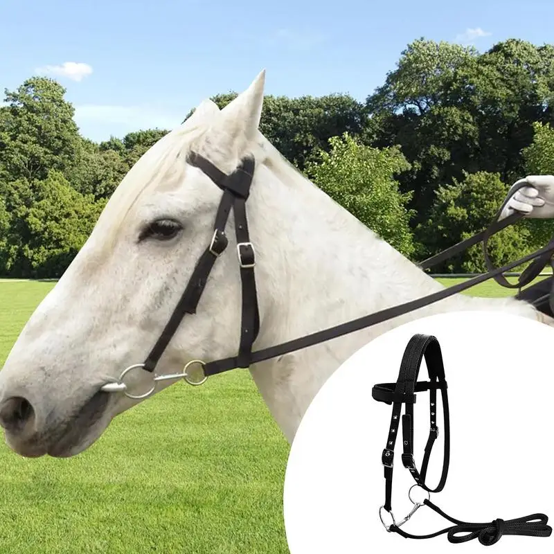 Halter de caballo y cuerda de plomo con 3 hebillas ajustables, coleteros chapados engrosados para entrenamiento, coleteros de entrenamiento chapados en espesor