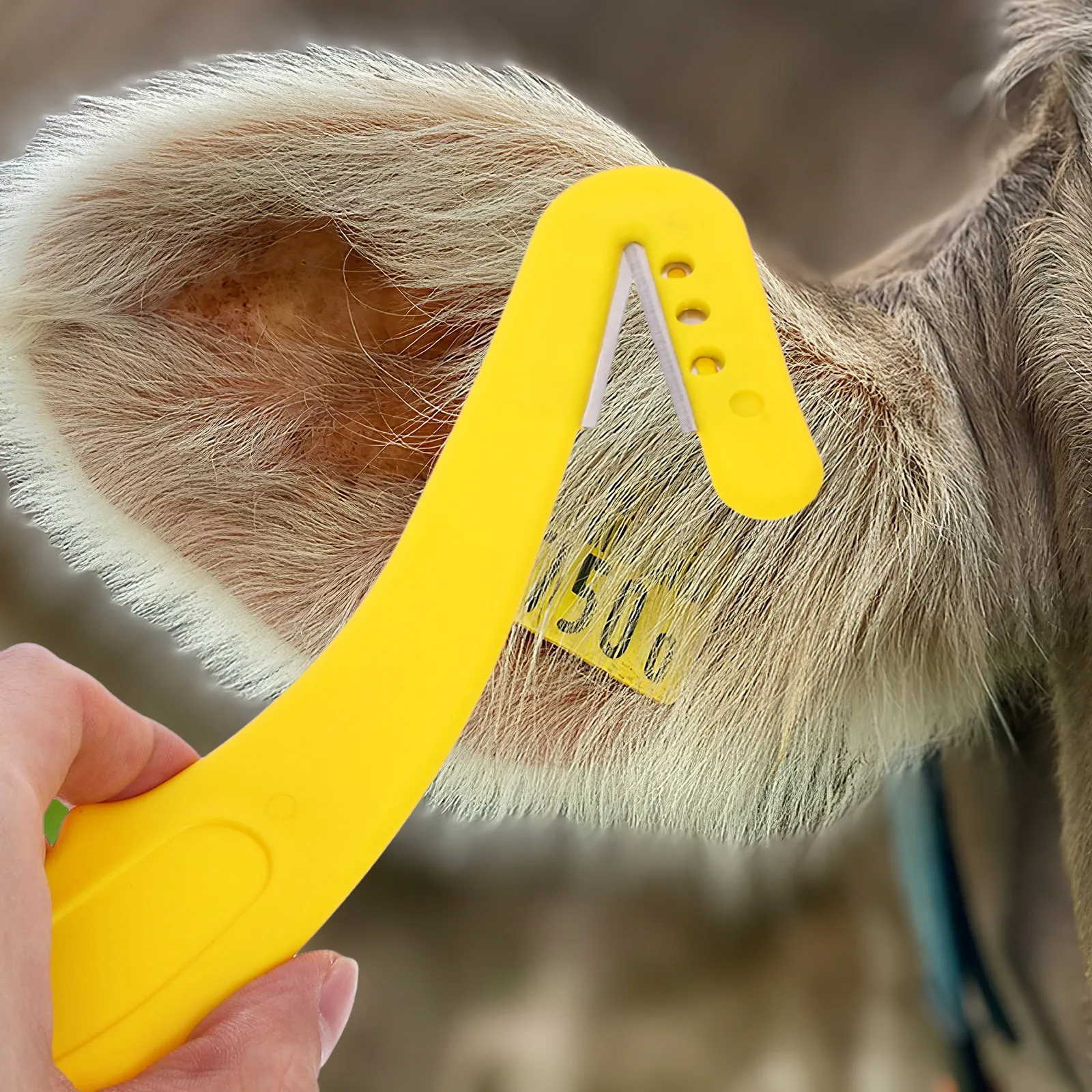 Livestock Ear Tag Removal Tool Multipurpose Sharp Blade Comfortable Handle Cutter for Cattle Goat Sheep Pig Ear Tag Remover