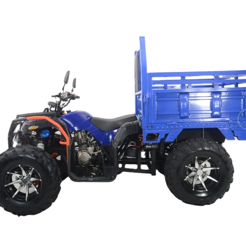 

ATV UTV 250cc 4X4 Electric Vehicle Quad Bike 4wheels Driving E-Bike motorcycles scooters four wheels for Adultscustom